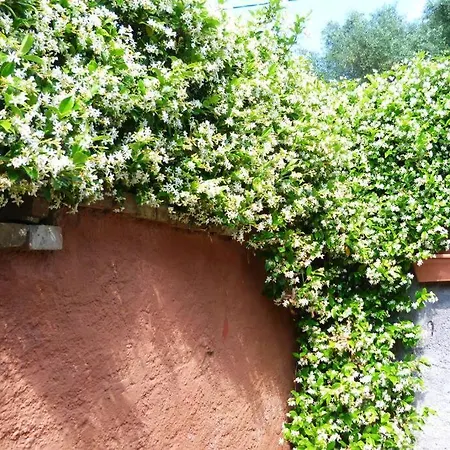Corfu Town Garden *
