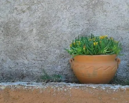 Corfu Town Garden Дом отдыха *